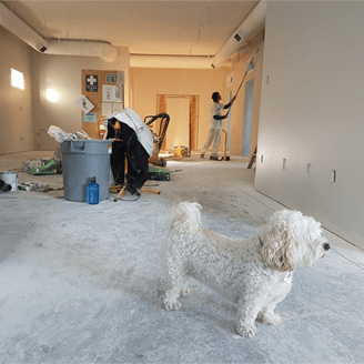 home renovation survival