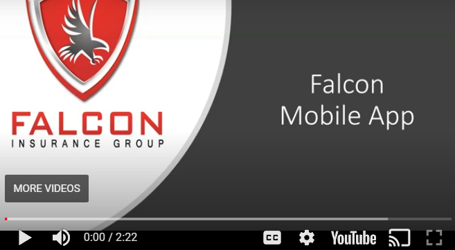Falcon Insurance Texas App