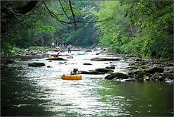 Image Shows People Tubing Down The River