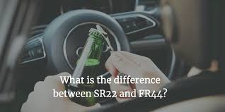Picture Shows Driver Opening A Beer Bottle Behind The Wheel With The Caption What Is The Difference Between Sr22 And Fr44