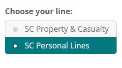 Becoming An Agent Sc Personal Lines