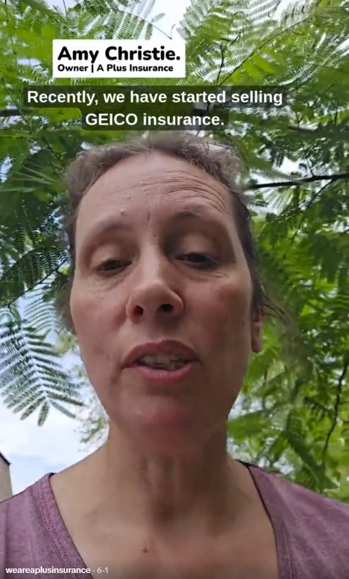 We Carry Geico