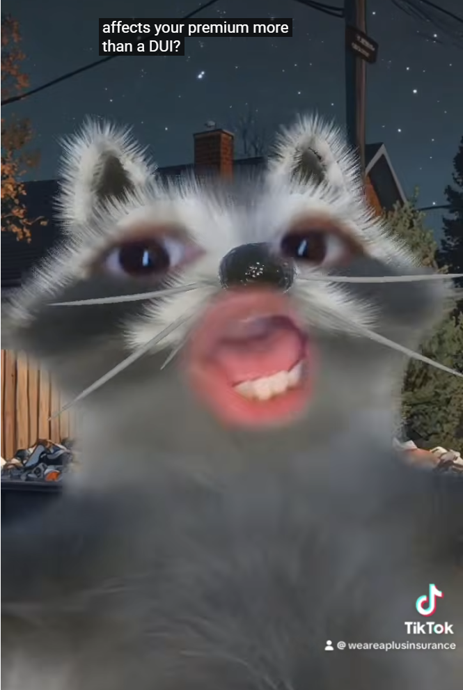 Even Raccoons Know That Moving Zips Change Rates