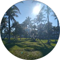 Jack Nikto Avatar