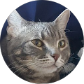 Ac Avatar
