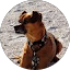 Kevin Rafferty Avatar